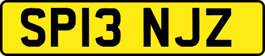 SP13NJZ