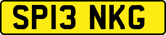 SP13NKG