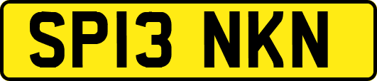 SP13NKN