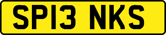 SP13NKS