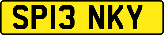 SP13NKY