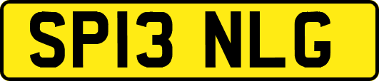 SP13NLG