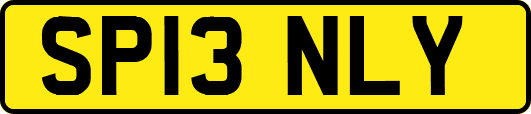 SP13NLY