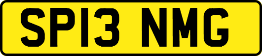 SP13NMG