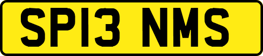 SP13NMS