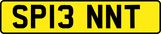 SP13NNT