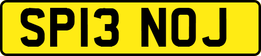 SP13NOJ