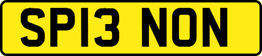 SP13NON