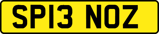 SP13NOZ