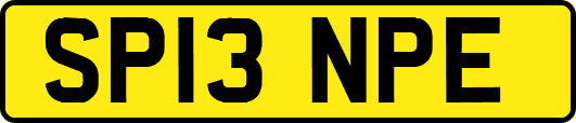 SP13NPE