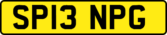 SP13NPG