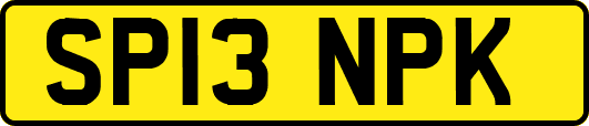 SP13NPK