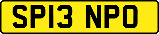 SP13NPO