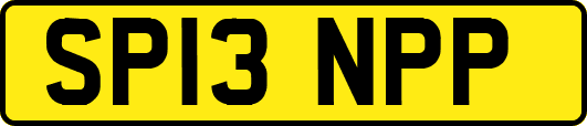 SP13NPP