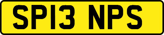 SP13NPS