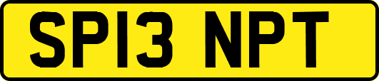 SP13NPT