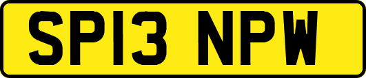 SP13NPW