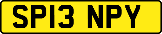 SP13NPY