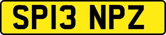 SP13NPZ