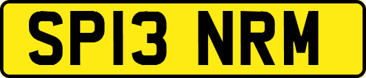 SP13NRM