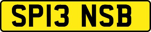 SP13NSB