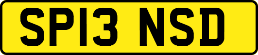 SP13NSD