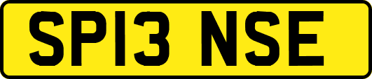 SP13NSE