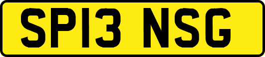 SP13NSG