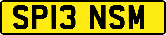 SP13NSM