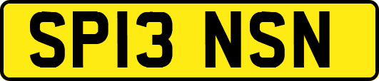 SP13NSN