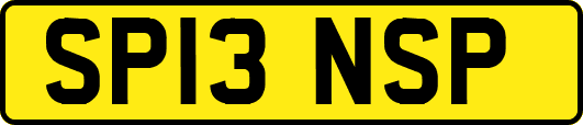 SP13NSP