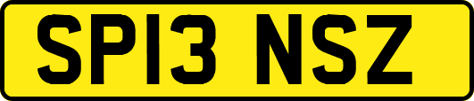 SP13NSZ