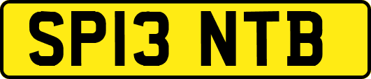 SP13NTB