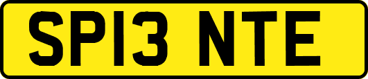 SP13NTE