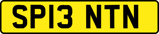 SP13NTN