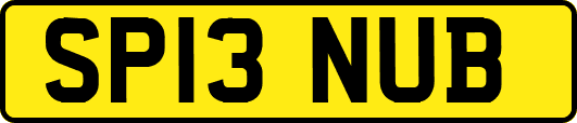 SP13NUB