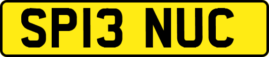 SP13NUC