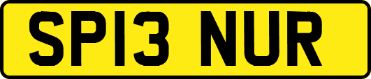 SP13NUR