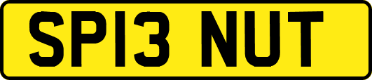 SP13NUT