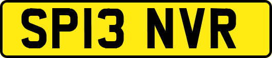 SP13NVR