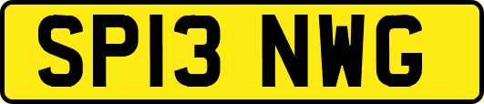SP13NWG