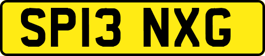 SP13NXG