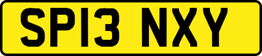 SP13NXY