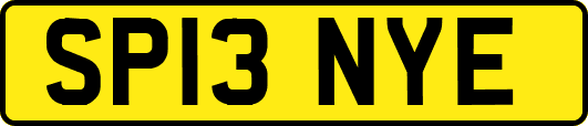SP13NYE