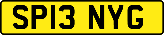 SP13NYG