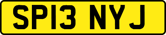 SP13NYJ