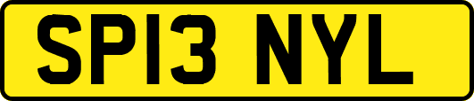 SP13NYL