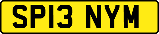 SP13NYM