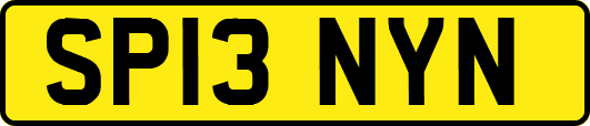 SP13NYN