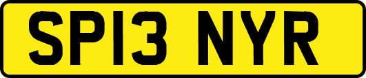 SP13NYR